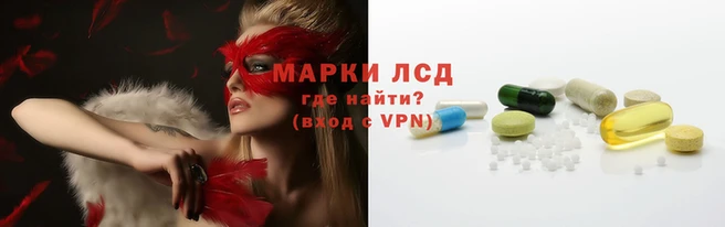 мяу мяу мука Алексин
