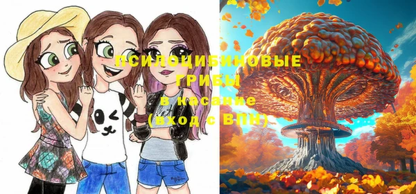 мет Карпинск