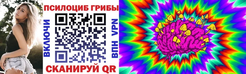Псилоцибиновые грибы Cubensis  Владивосток 