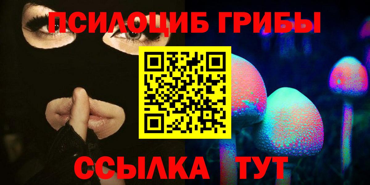 Галлюциногенные грибы Psilocybe Владивосток