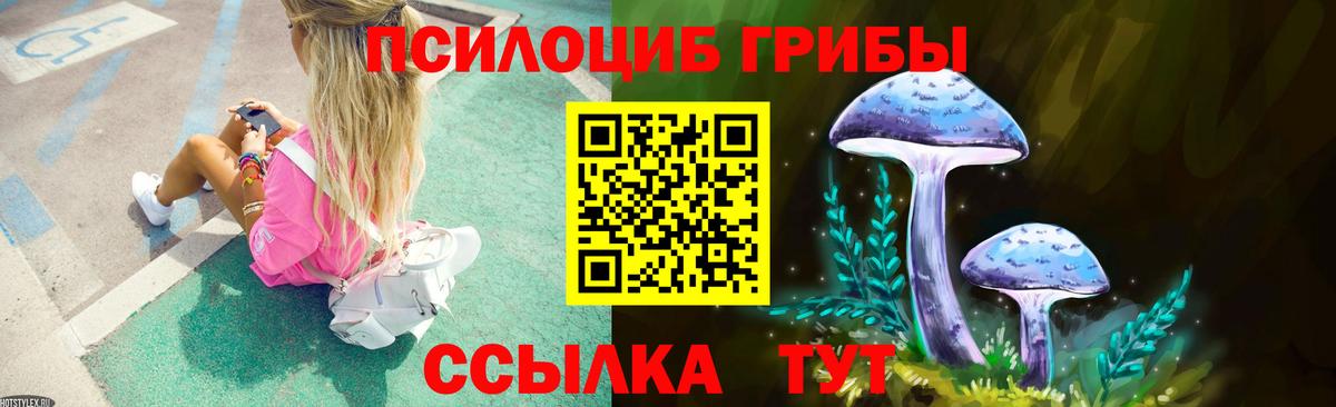 Псилоцибиновые грибы Cubensis  Галлюциногенные грибы мухоморы  Владивосток  Вход с VPN 